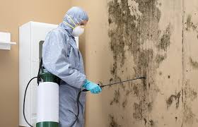 Professional Mold Inspection in Montgomery City, MO